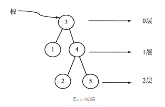 树的层